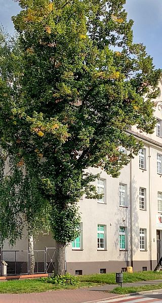 Obraz Social High School